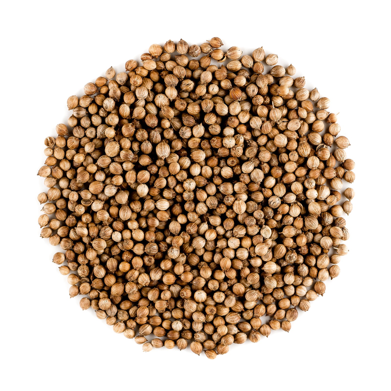 Coriander Seed 200g