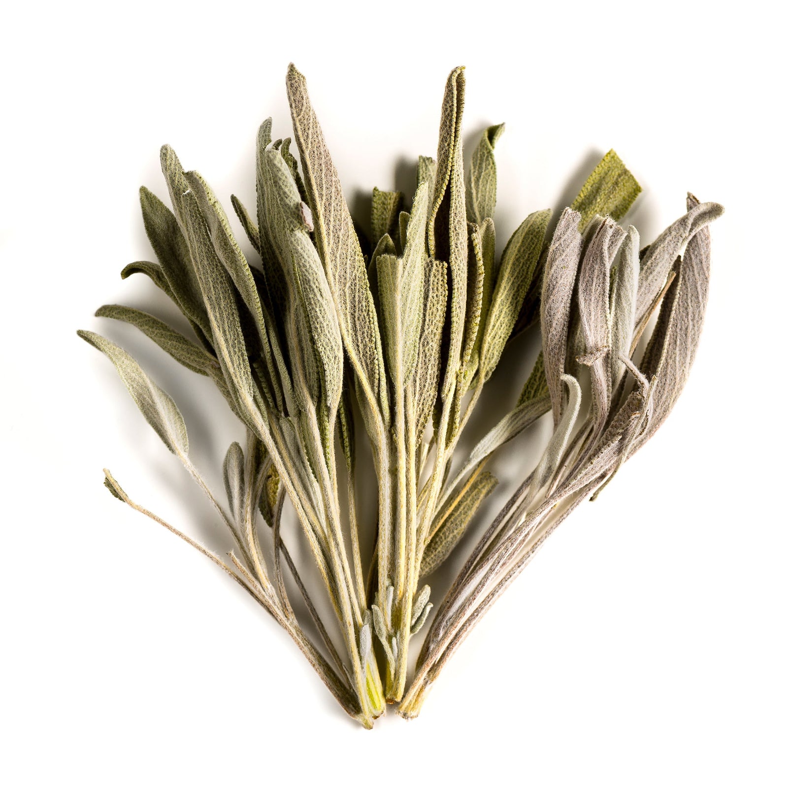 Sage - Valley of Tea