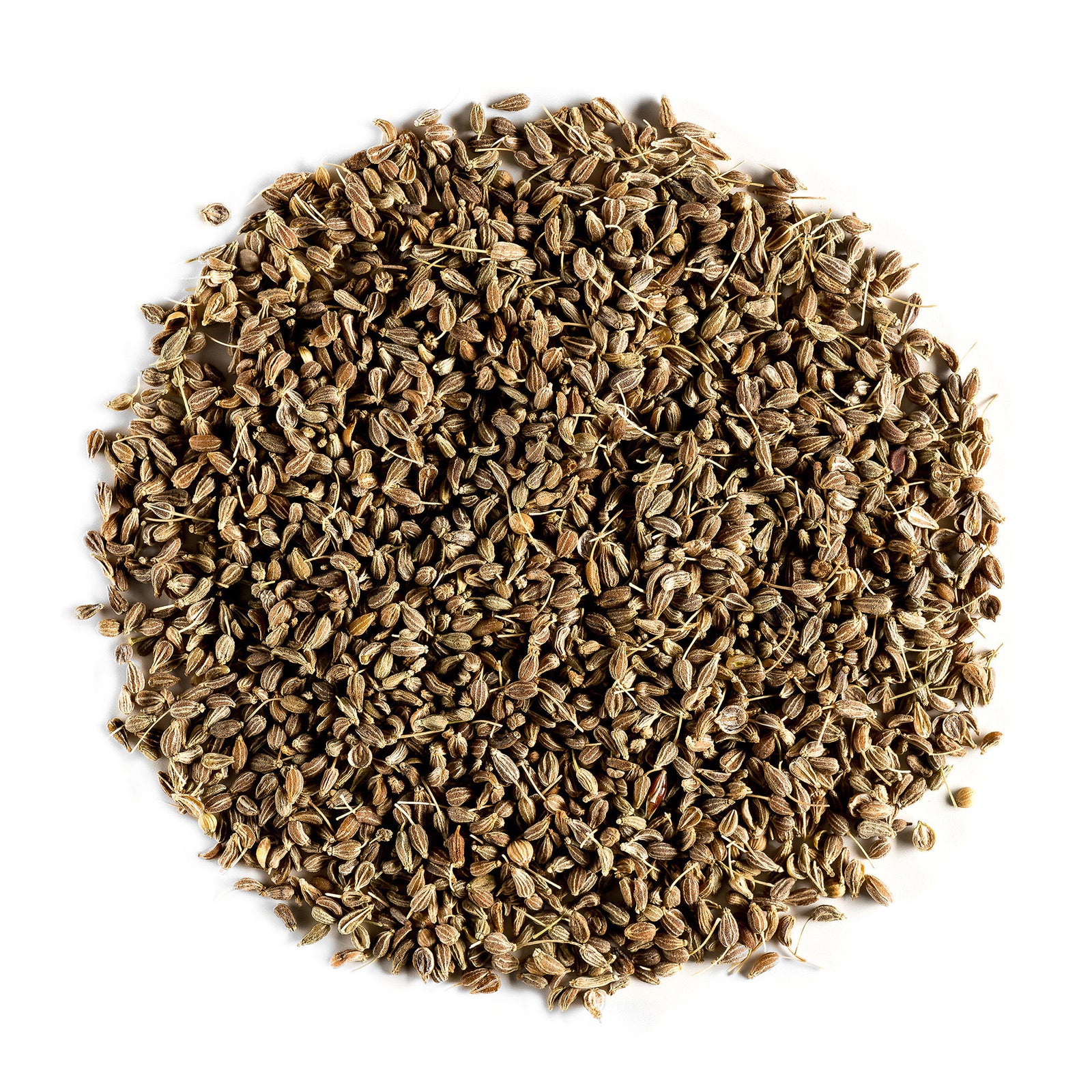 Anise Seed 100g