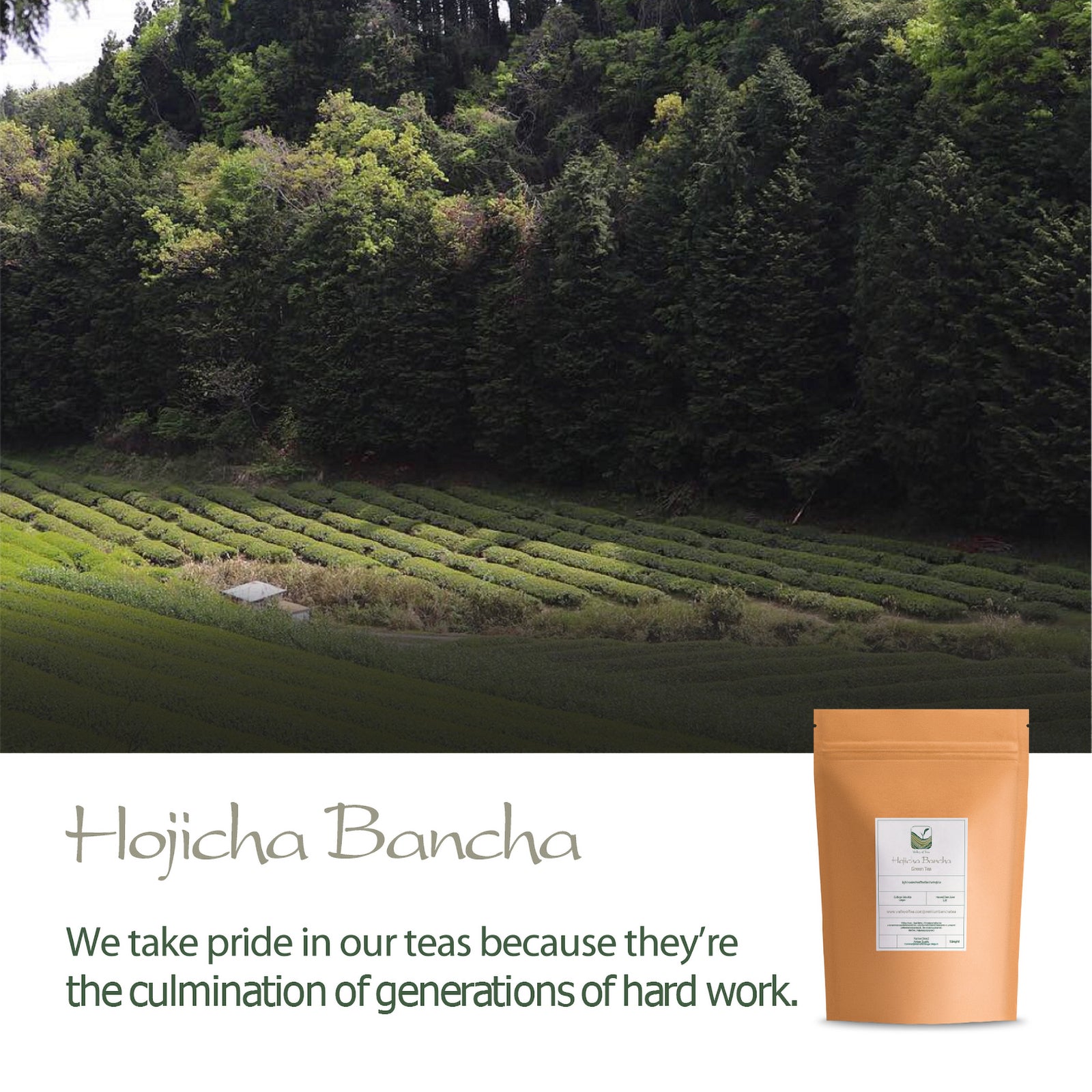 Hojicha Bancha 200g
