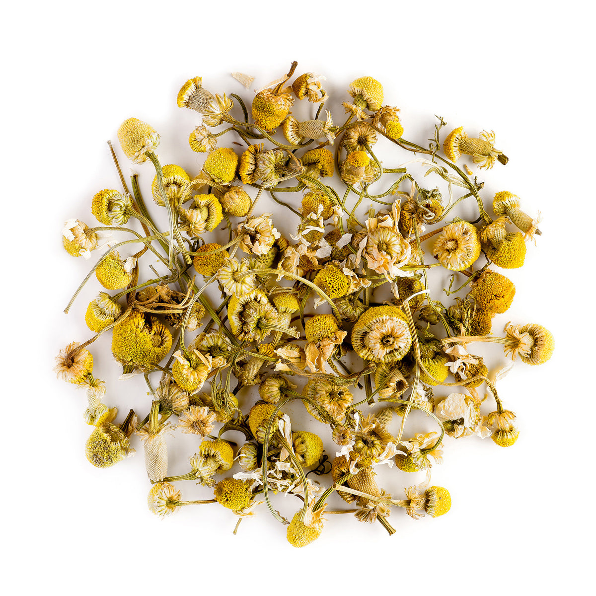 Camomile