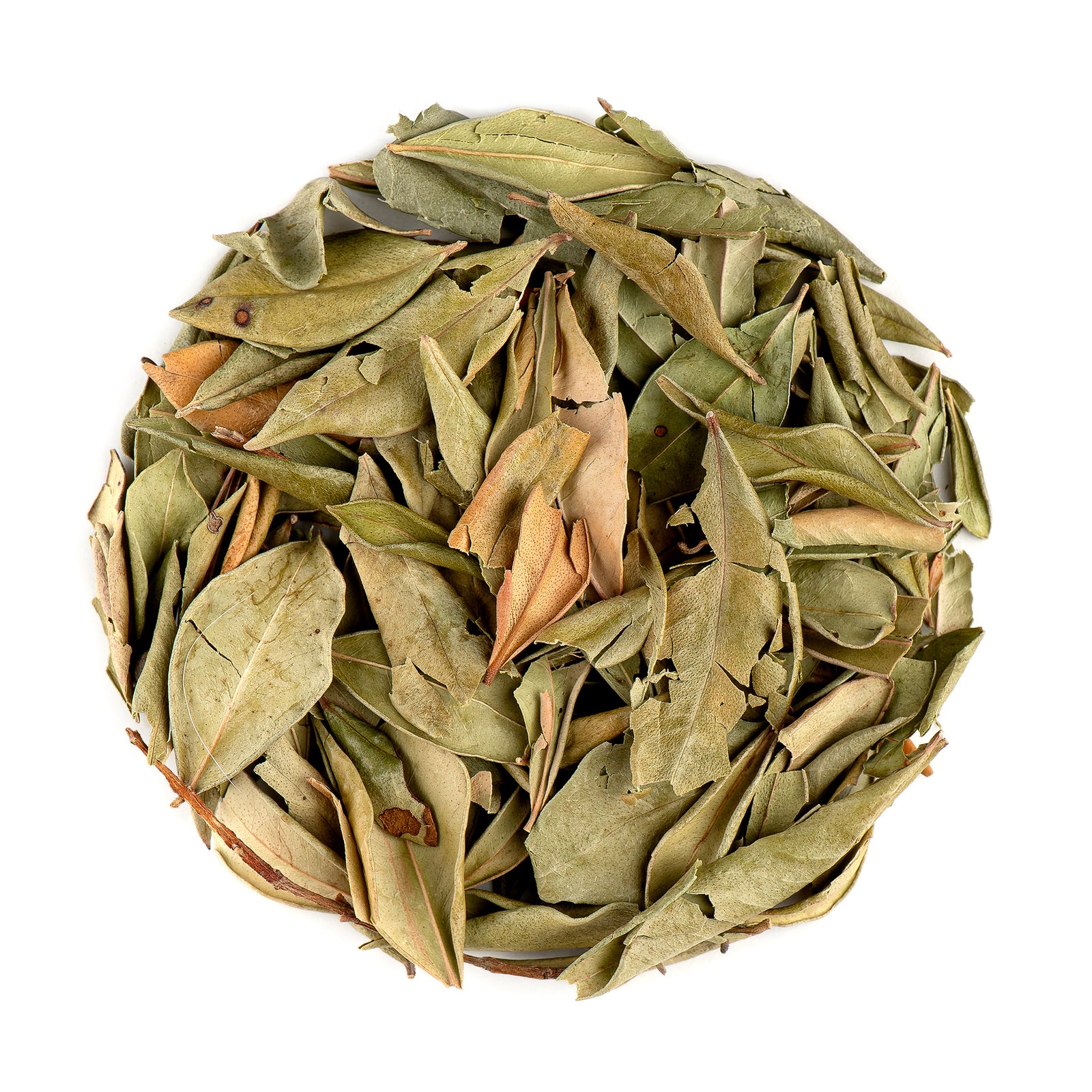 Common Myrtle 100g
