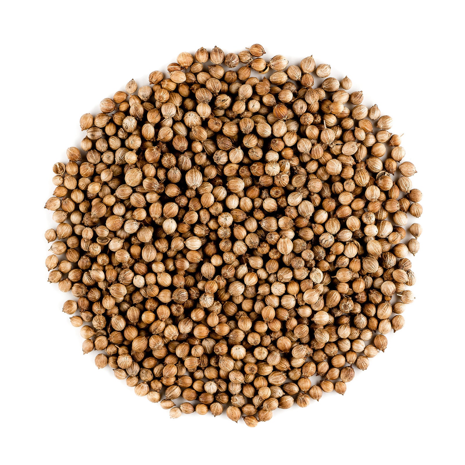 Coriander Seed 200g