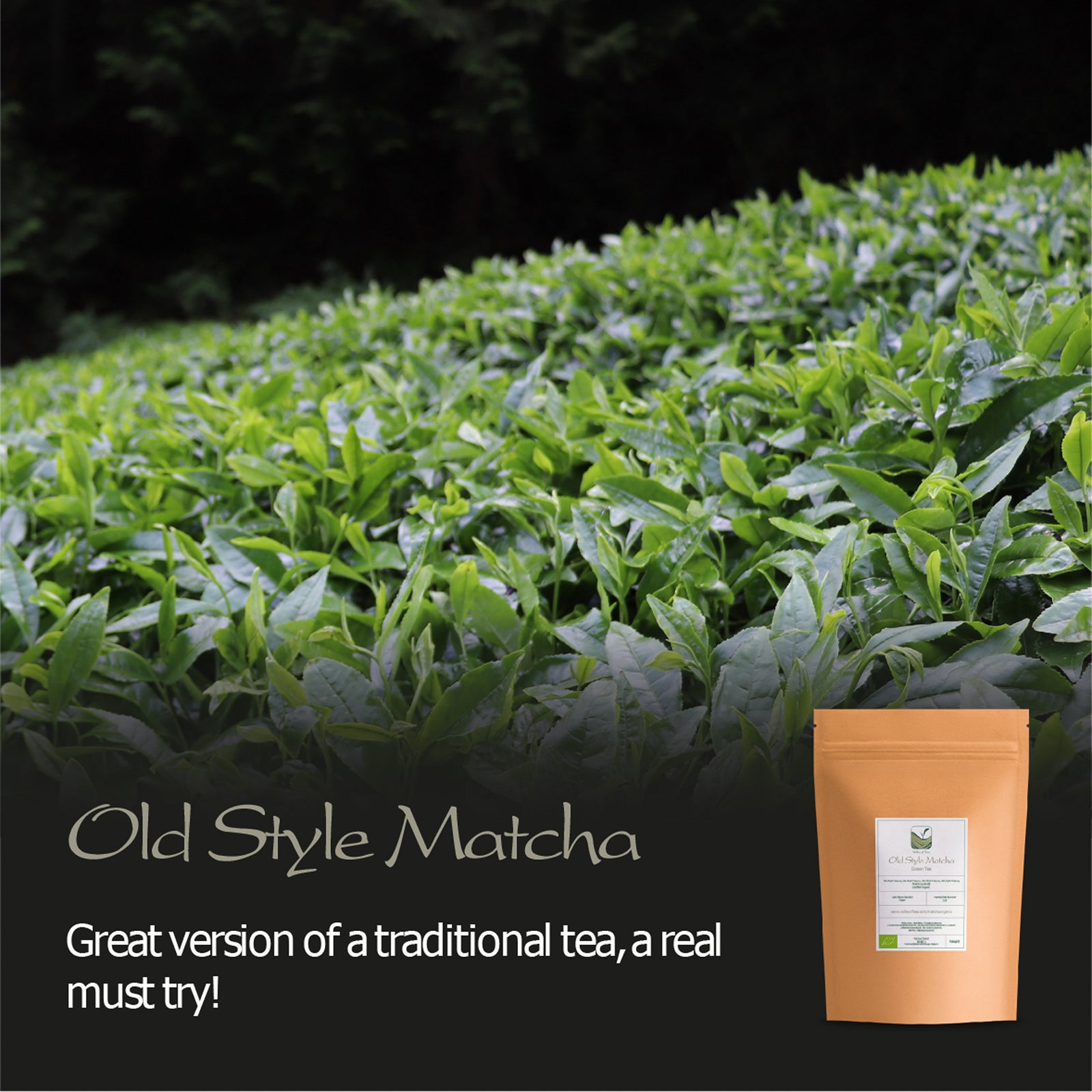 Matcha Organic Green Tea Japan - Artisan Farm - Sen Ca 30g