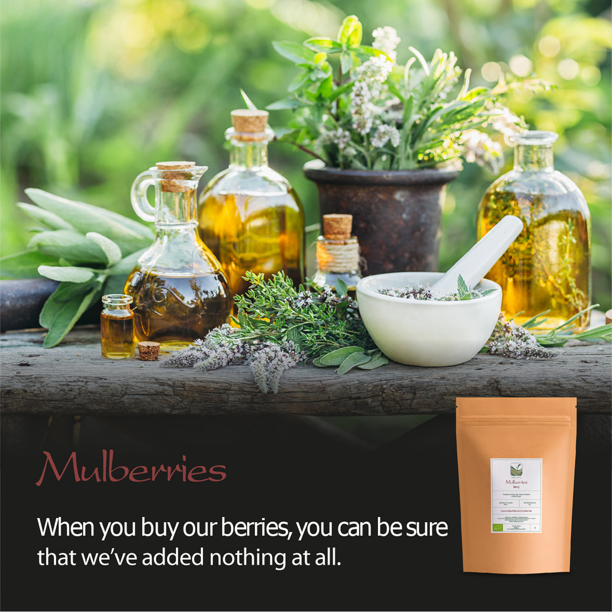 Ganze Maulbeeren getrocknet Bioqualität – getrocknete Maulbeeren