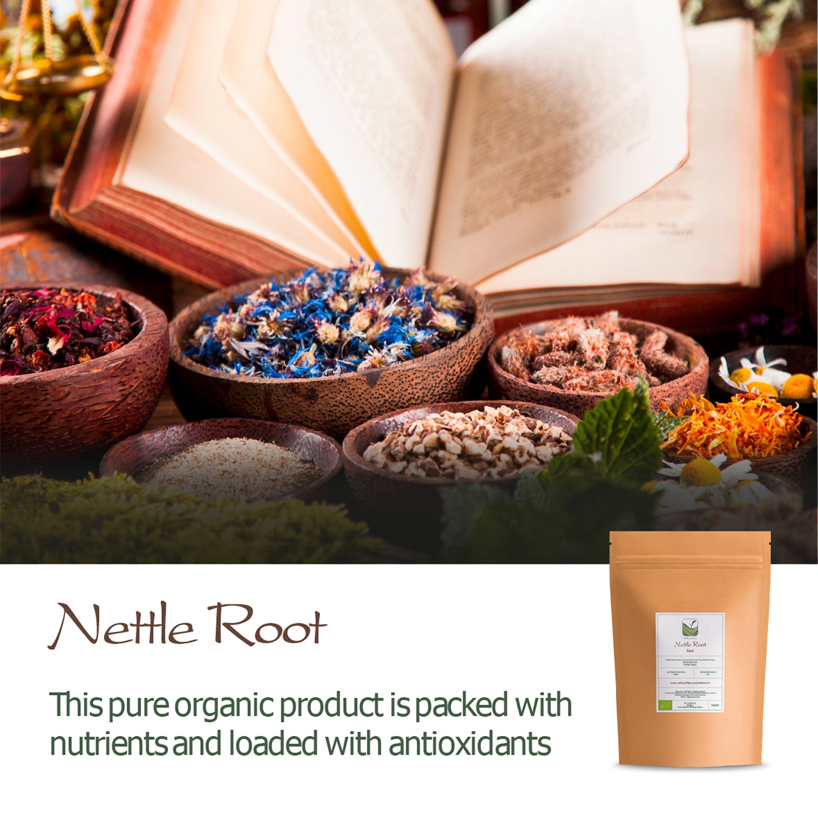 Nettle Root 100g