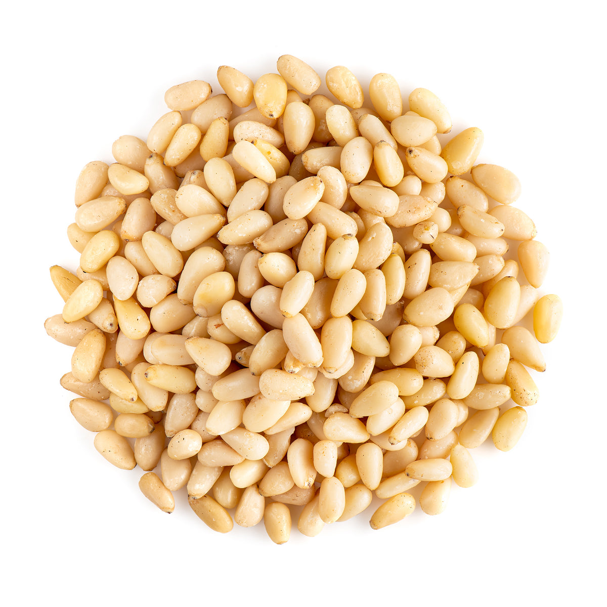 Pine Nuts