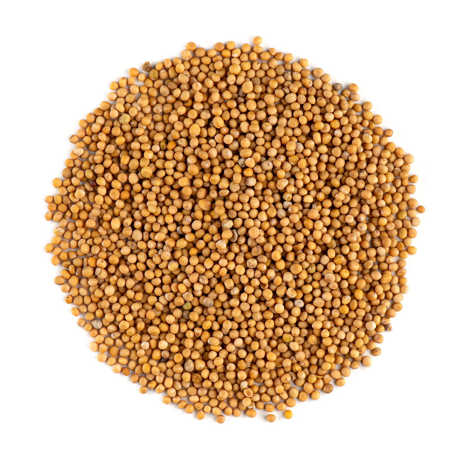 White Mustard Seed 200g