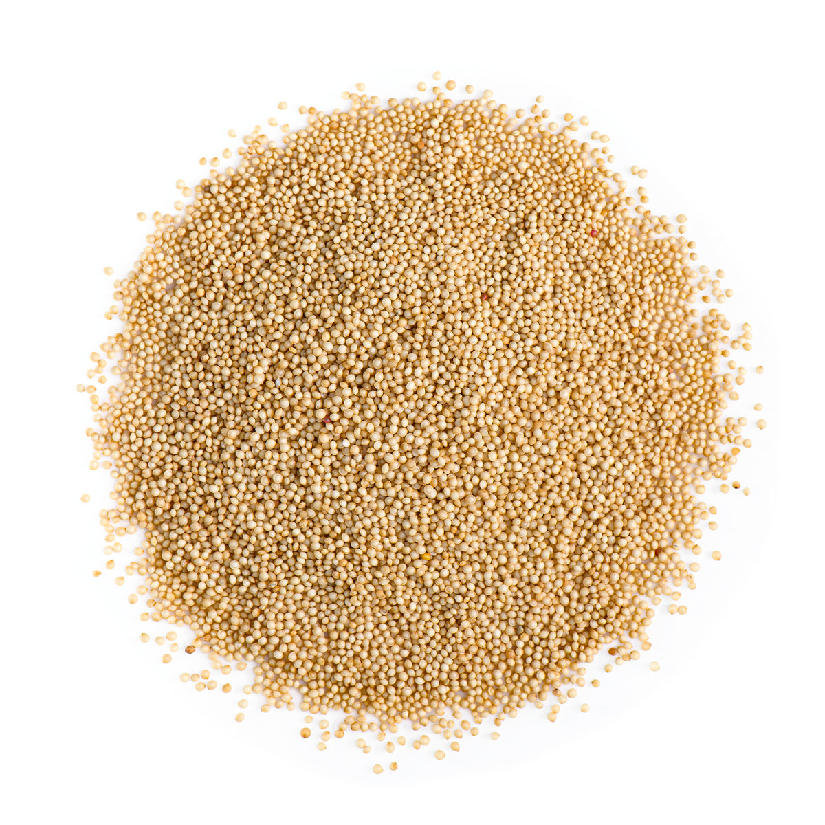 Amaranth Seed 500g