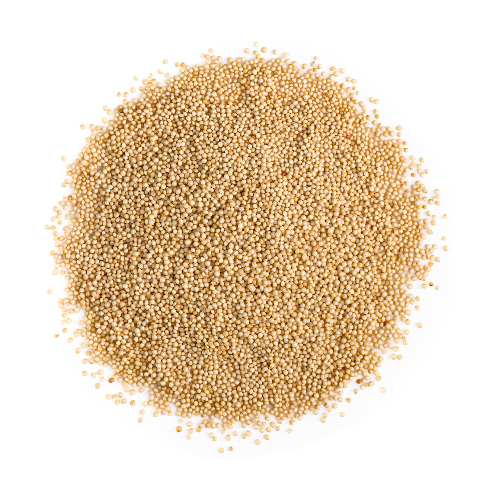 Amaranth Seed 500g