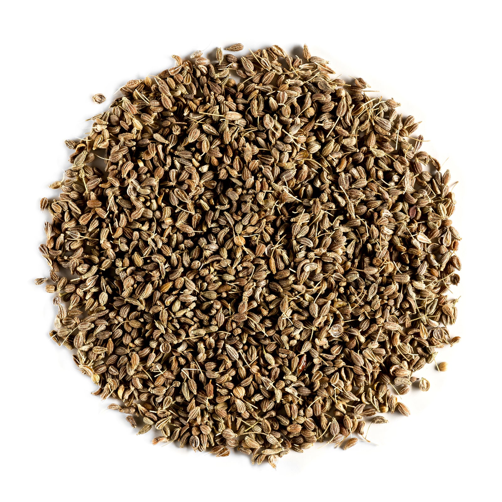 Anise Seed 100g