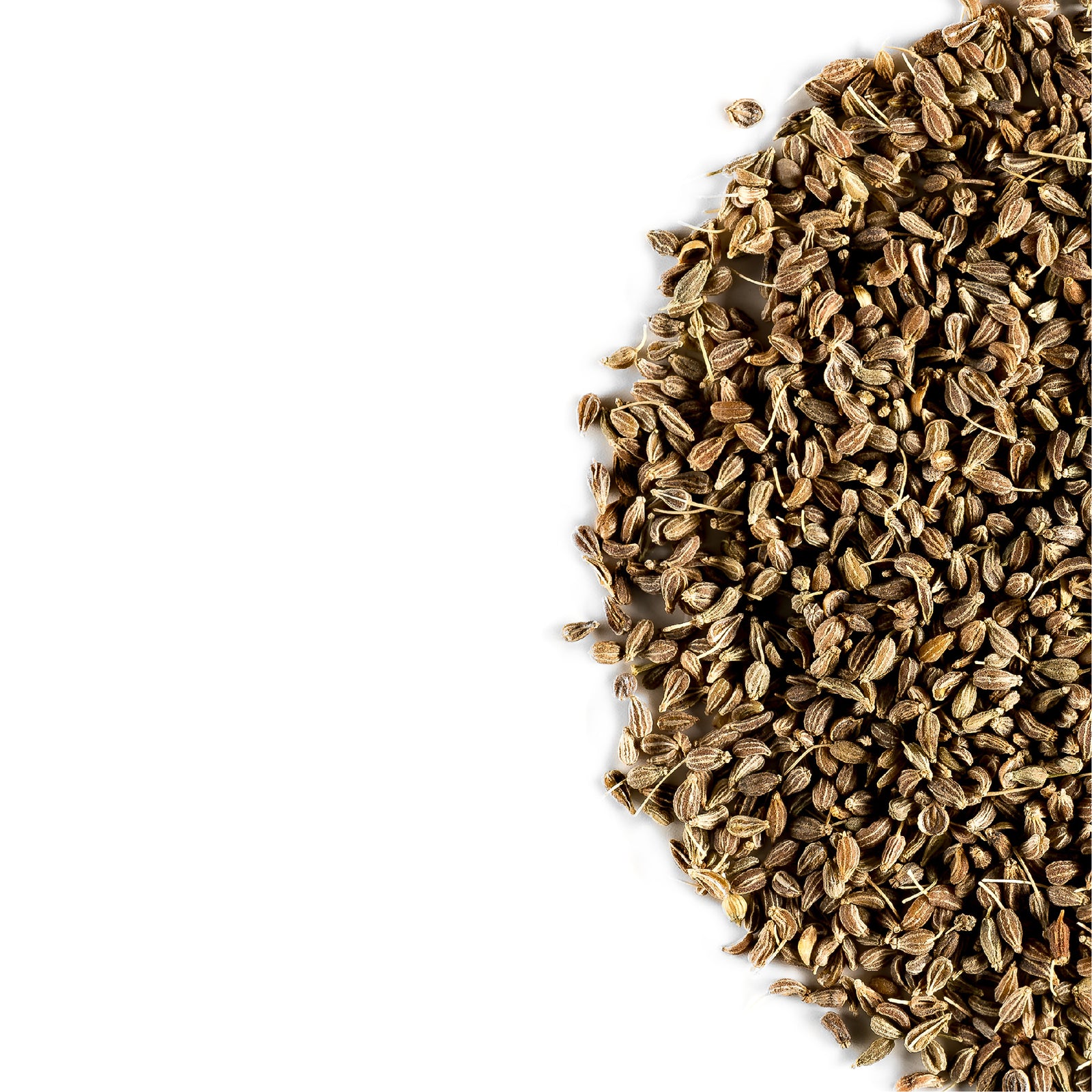 Anise Seed 100g