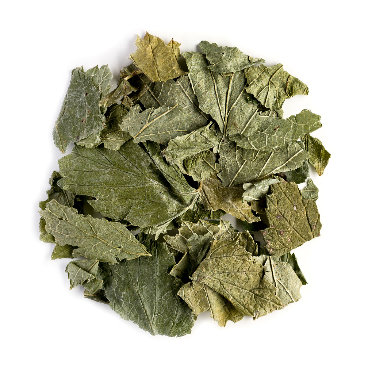 Black Currant 50g