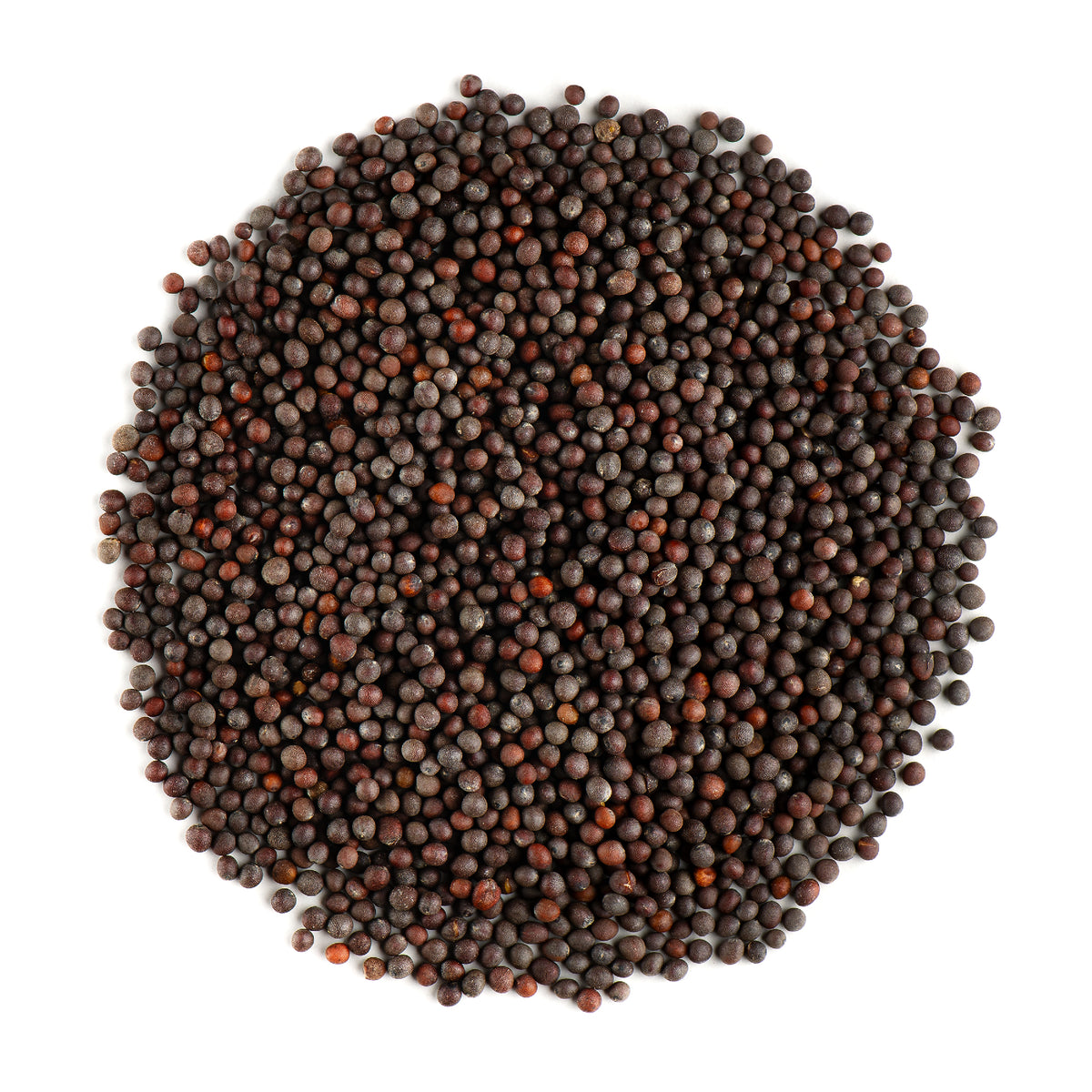 Black Mustard Seed 200g