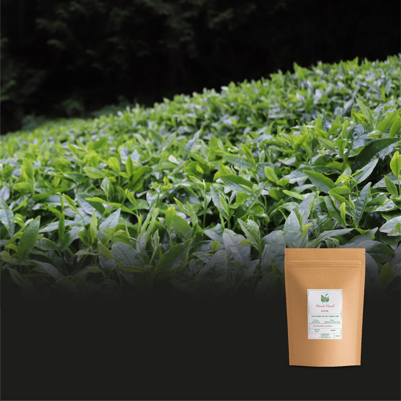 Black Pearl 100g
