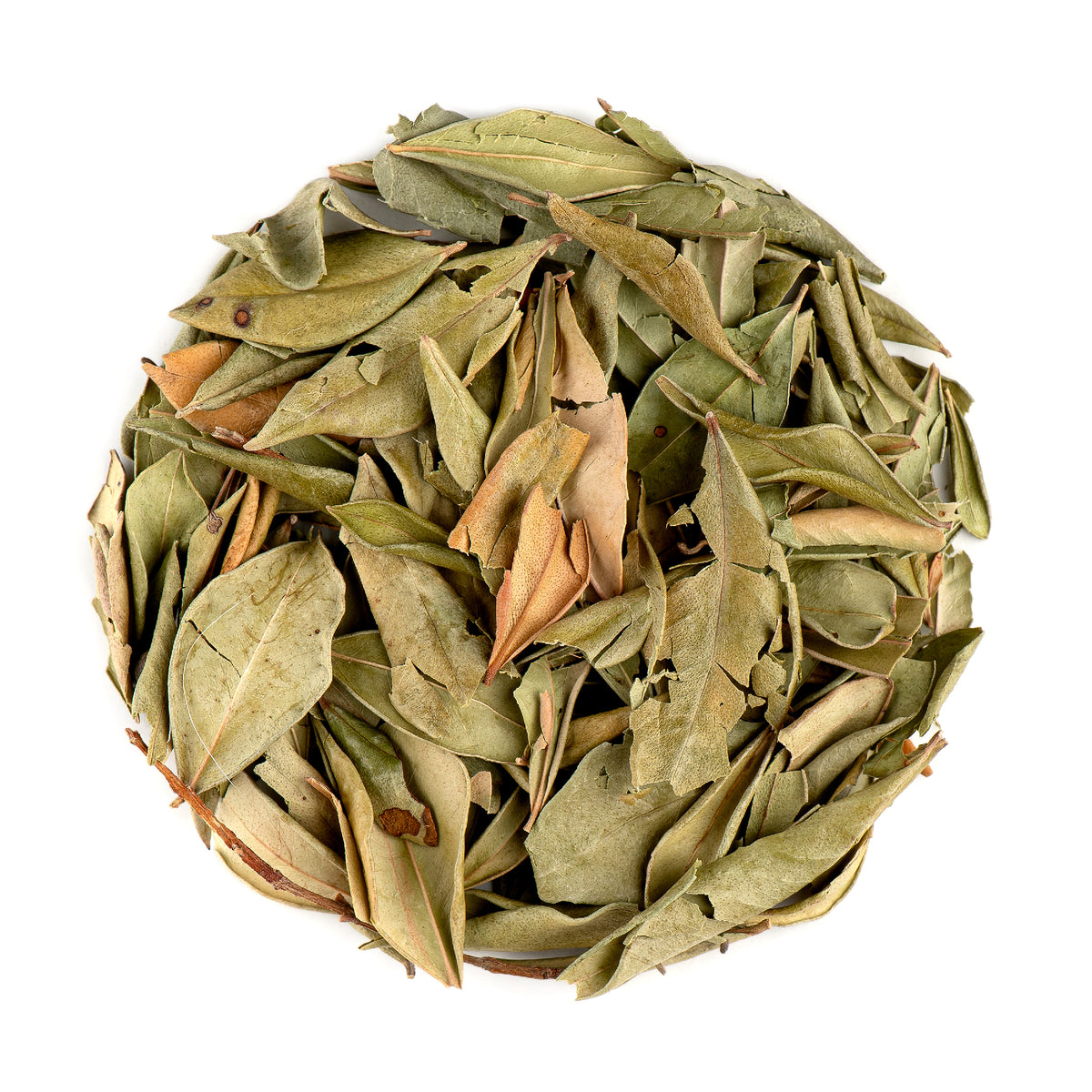 Common Myrtle 100g