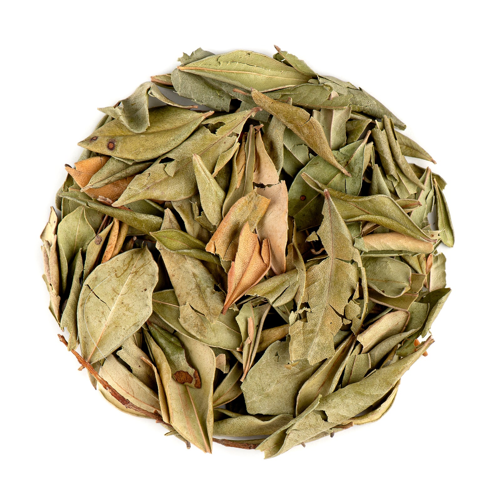 Common Myrtle 100g