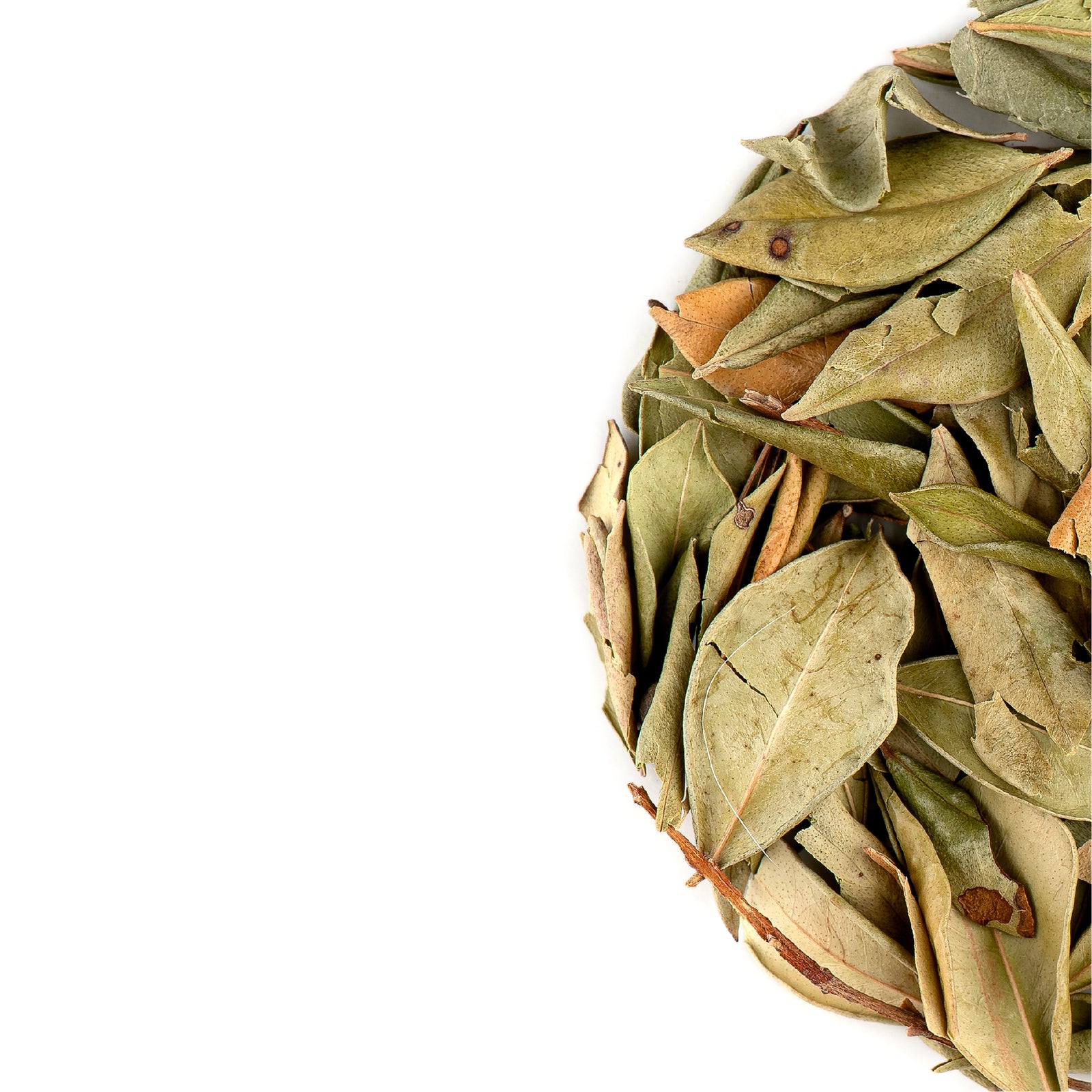 Common Myrtle 100g