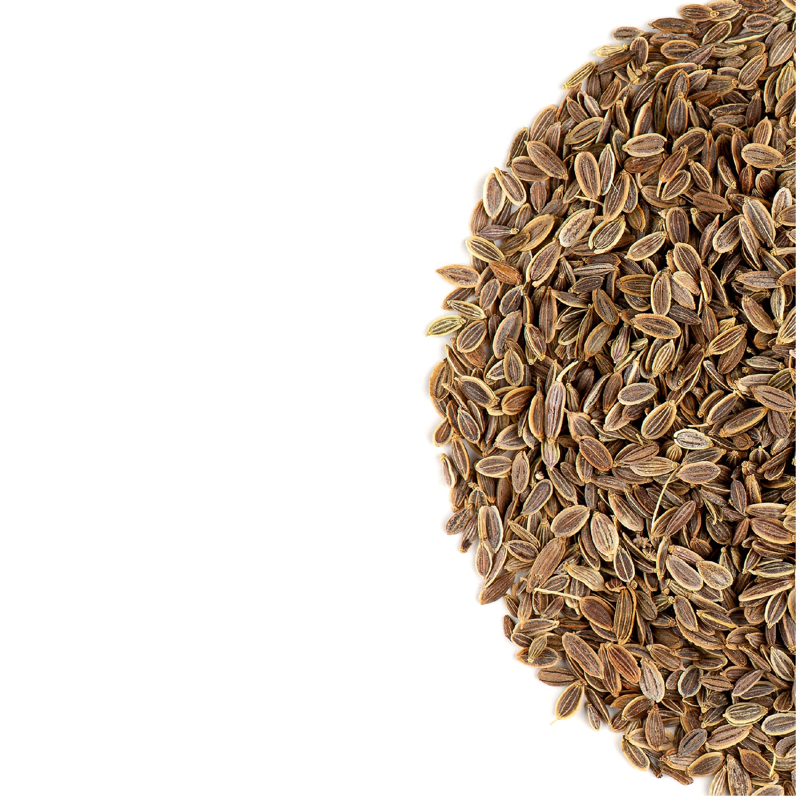 Dill Seed 200g
