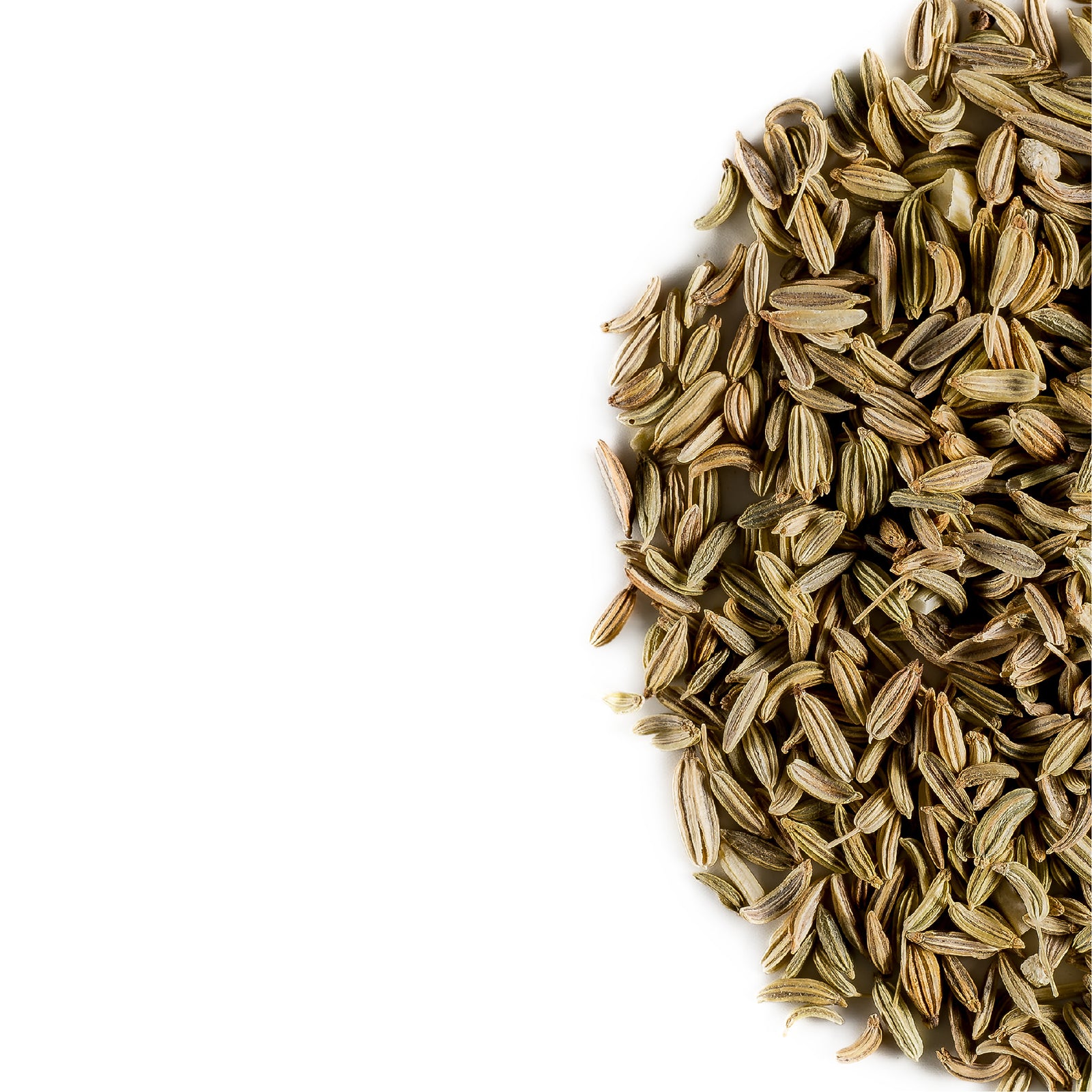 Fennel seed 200g