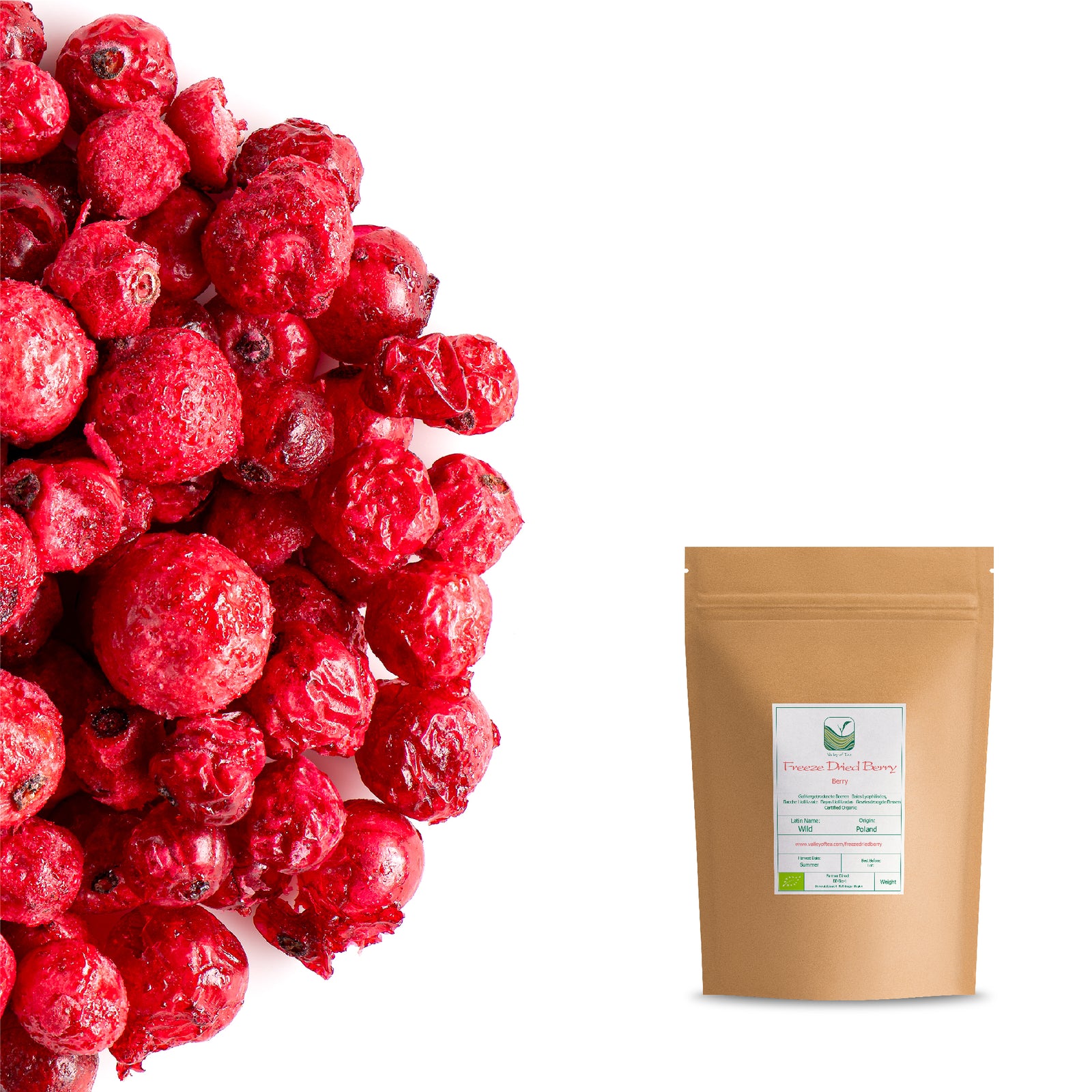 Freeze Dried Berry 50g