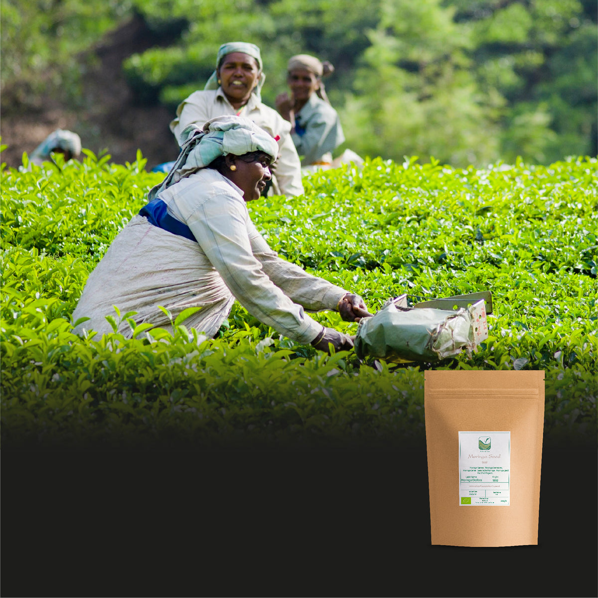 Gopaldhara Darjeeling Second Flush