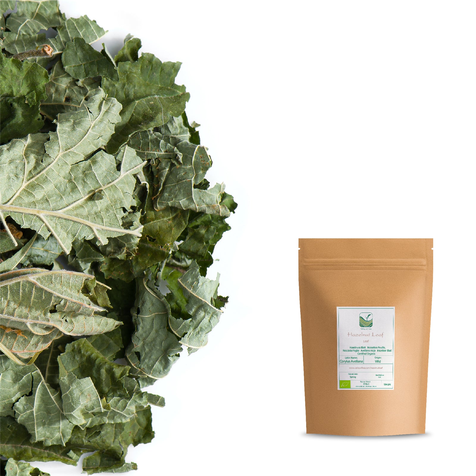 Hazelnut Leaf 200g