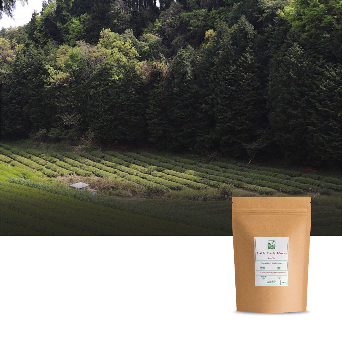 Hojicha Bancha Pulver