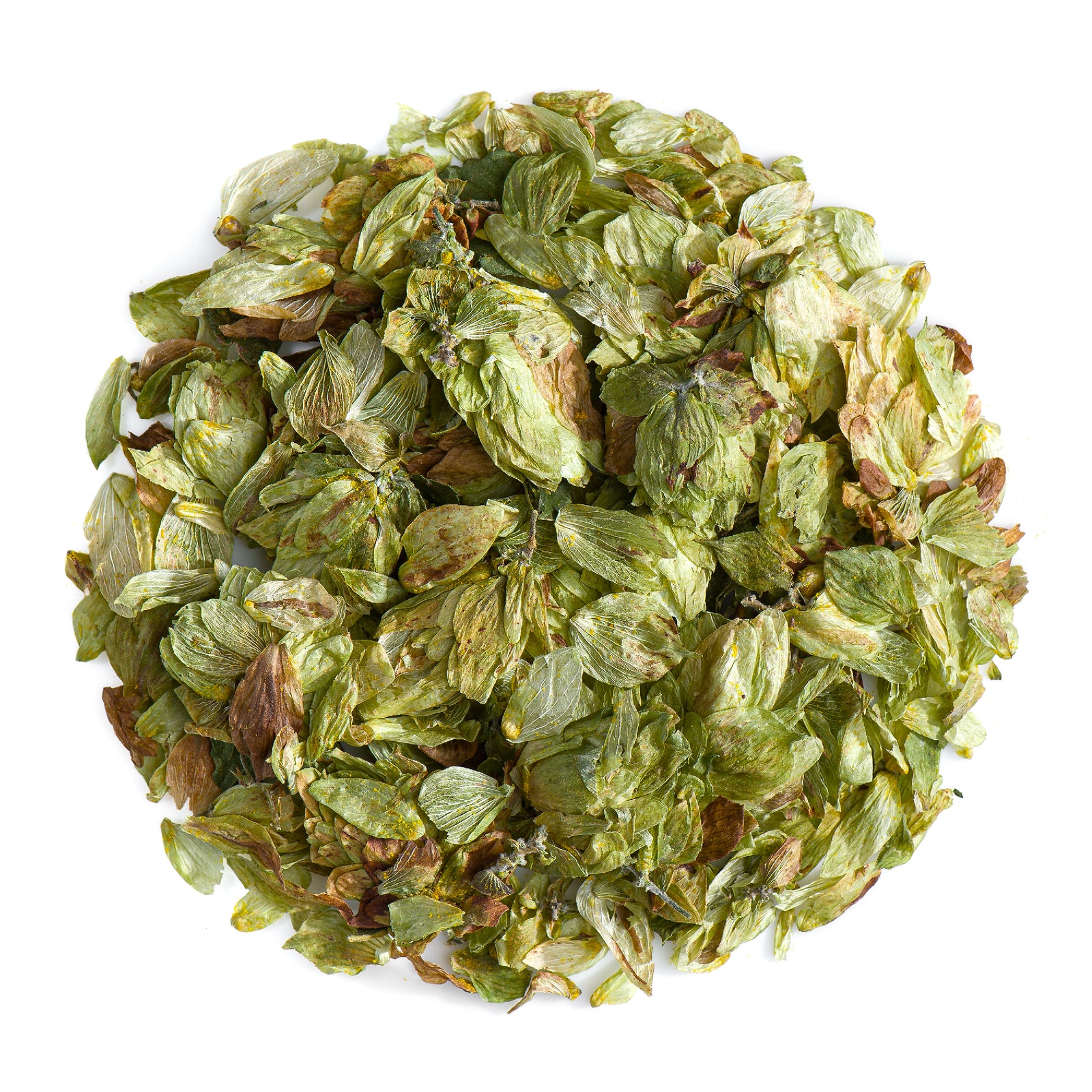 Whole Hop Cone 50g