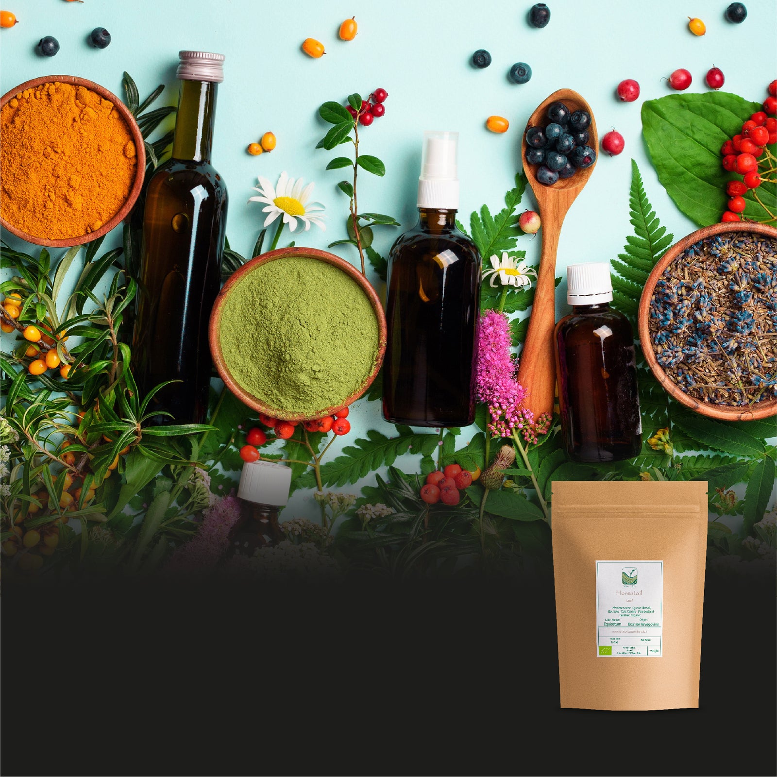 Horsetail 100g