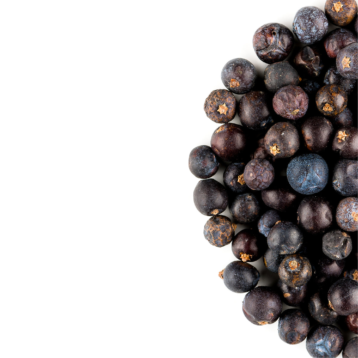 Juniper Berry