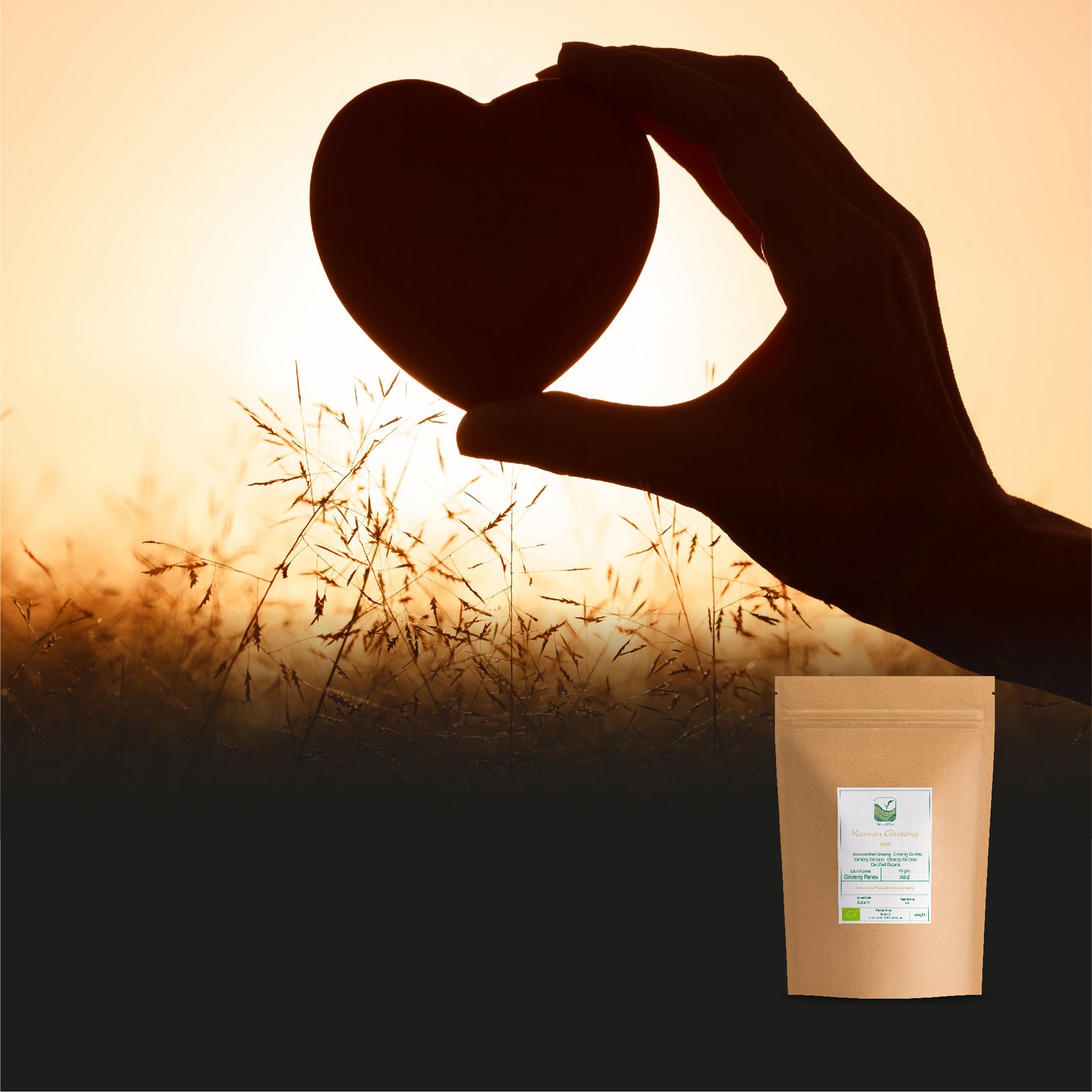 Korean Ginseng 20g