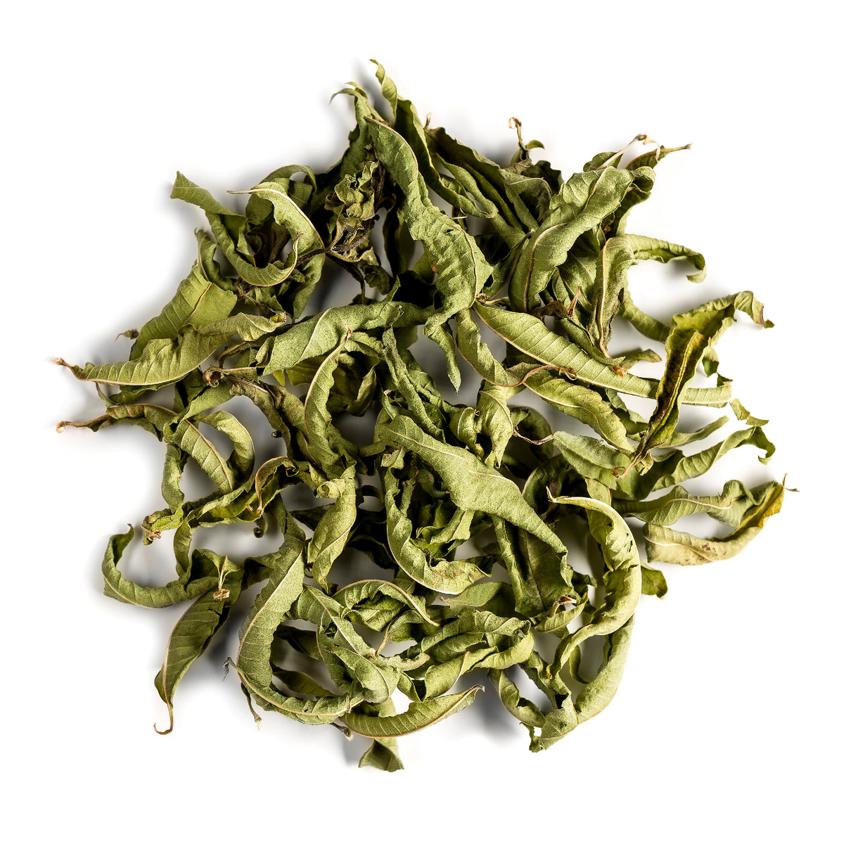 Lemon Verbena 50g