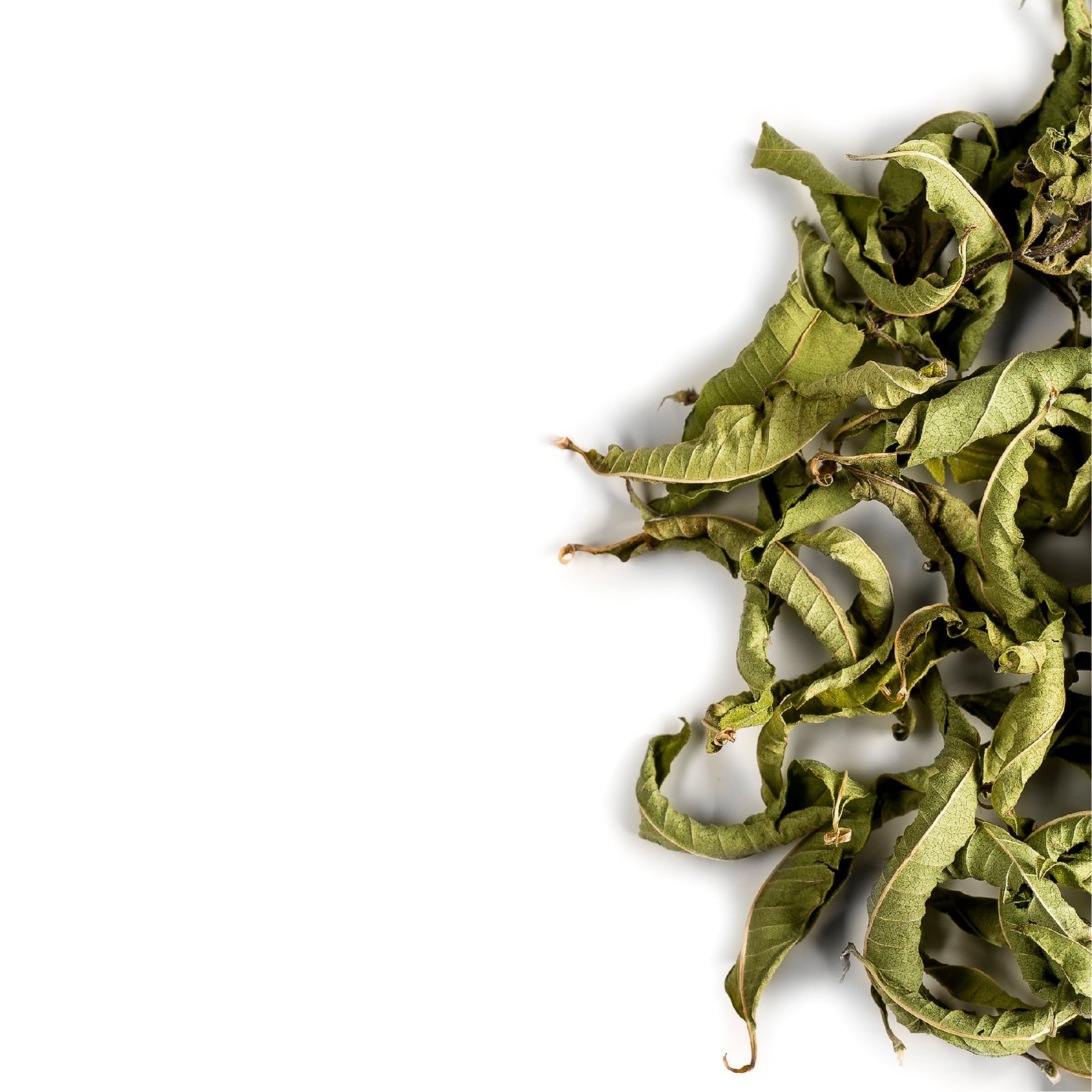 Lemon Verbena 50g