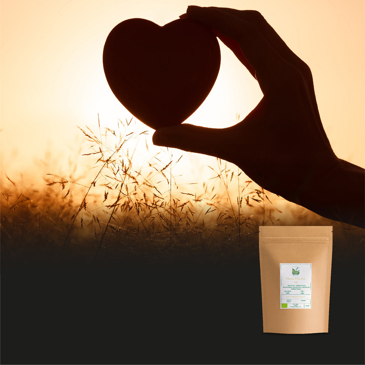 Maca Pulver