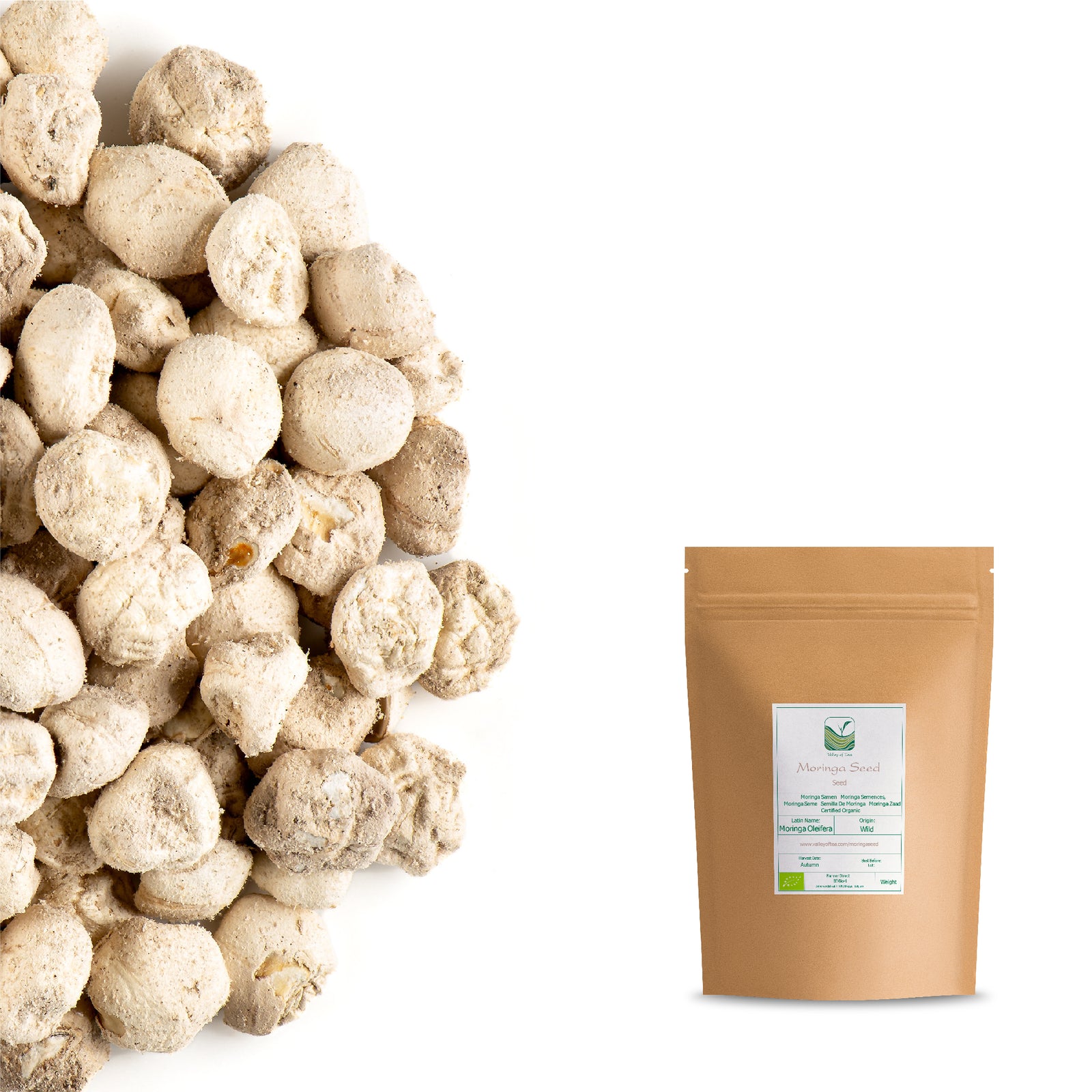 Moringa Seed 50g