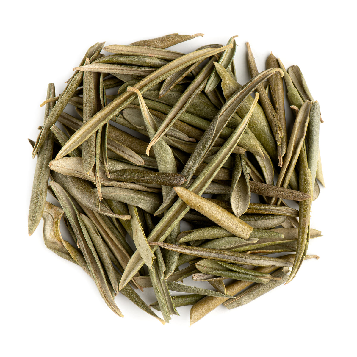 Olive Leaf 100g