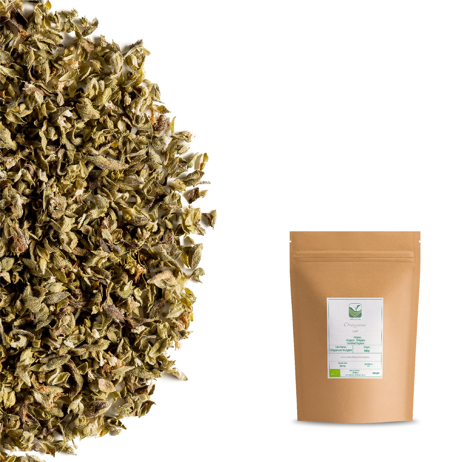 Origano