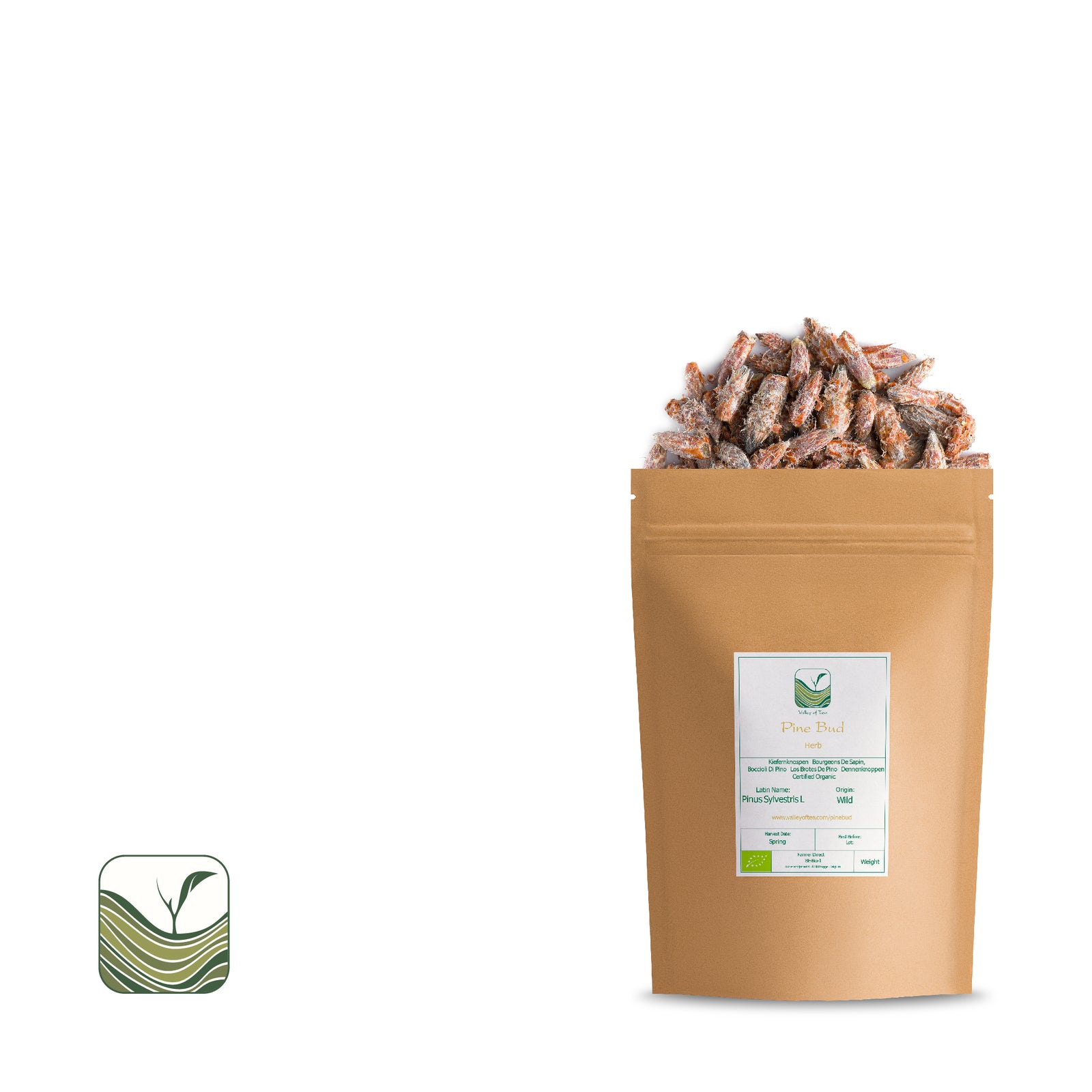 Pine Bud 50g