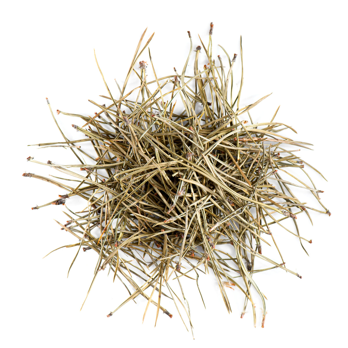 Pine Needle 100g