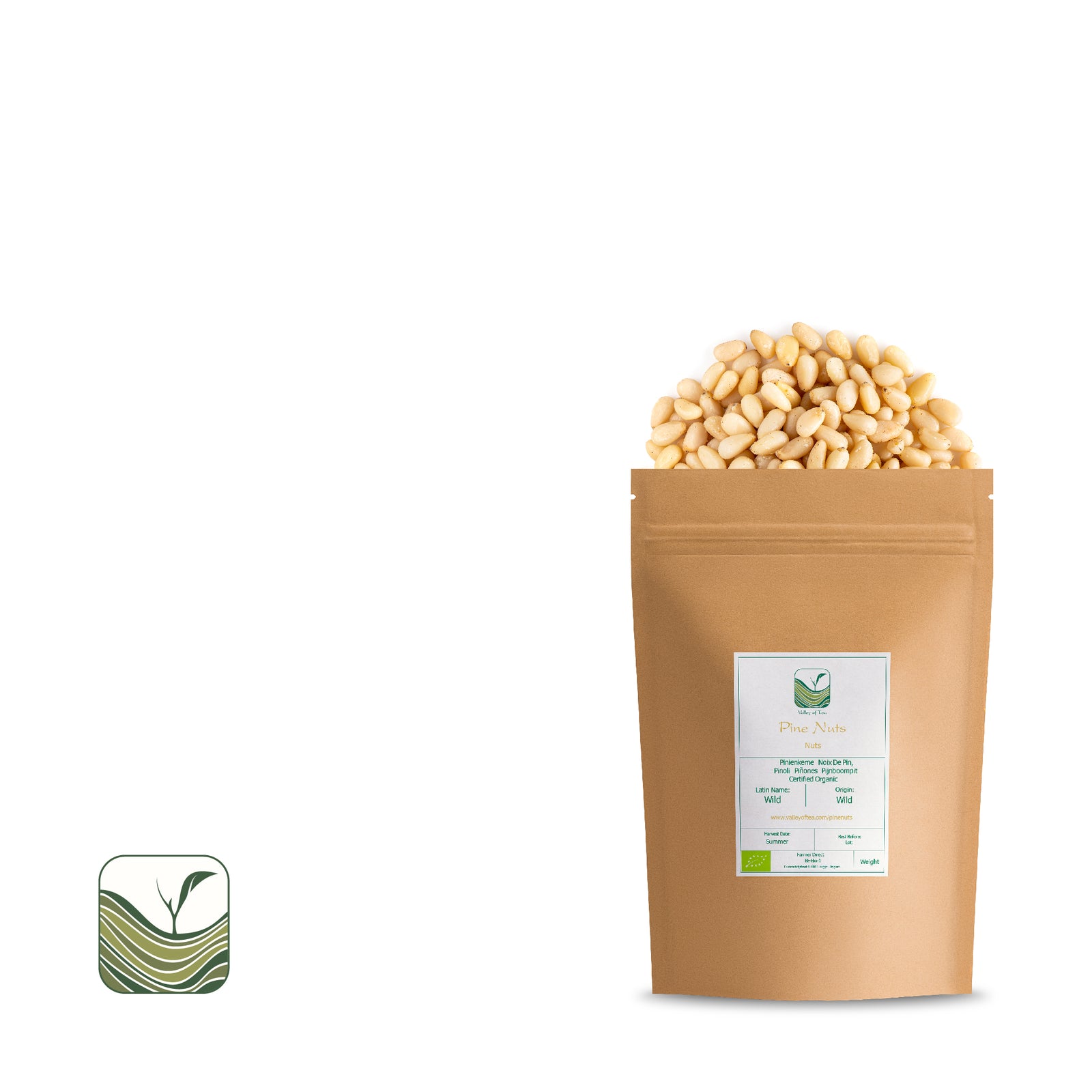Pine Nuts 100g