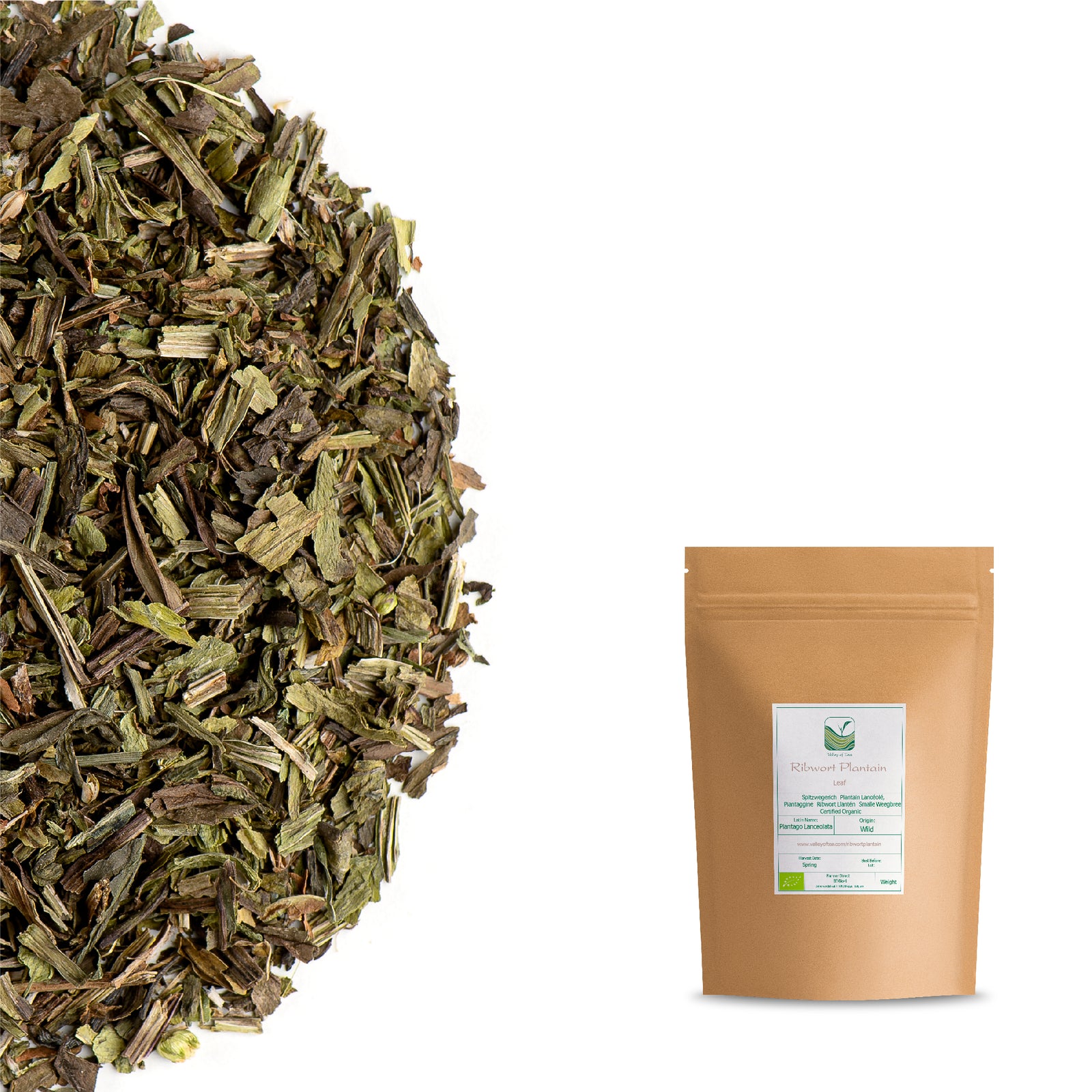 Ribwort Plantain 100g
