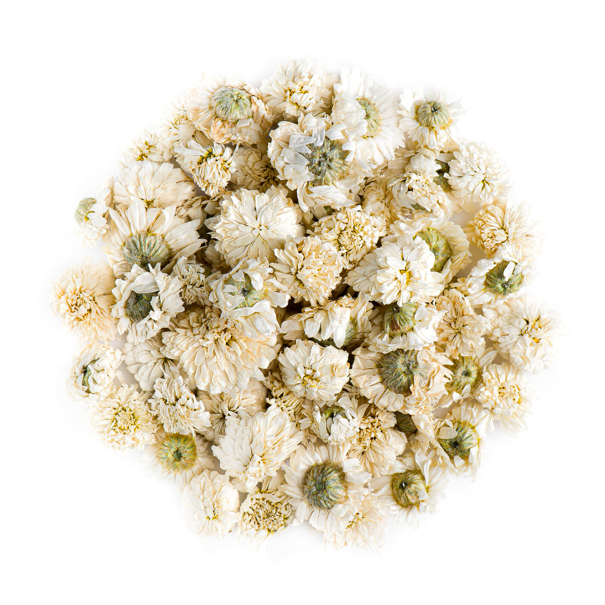 Roman Chamomile 20g
