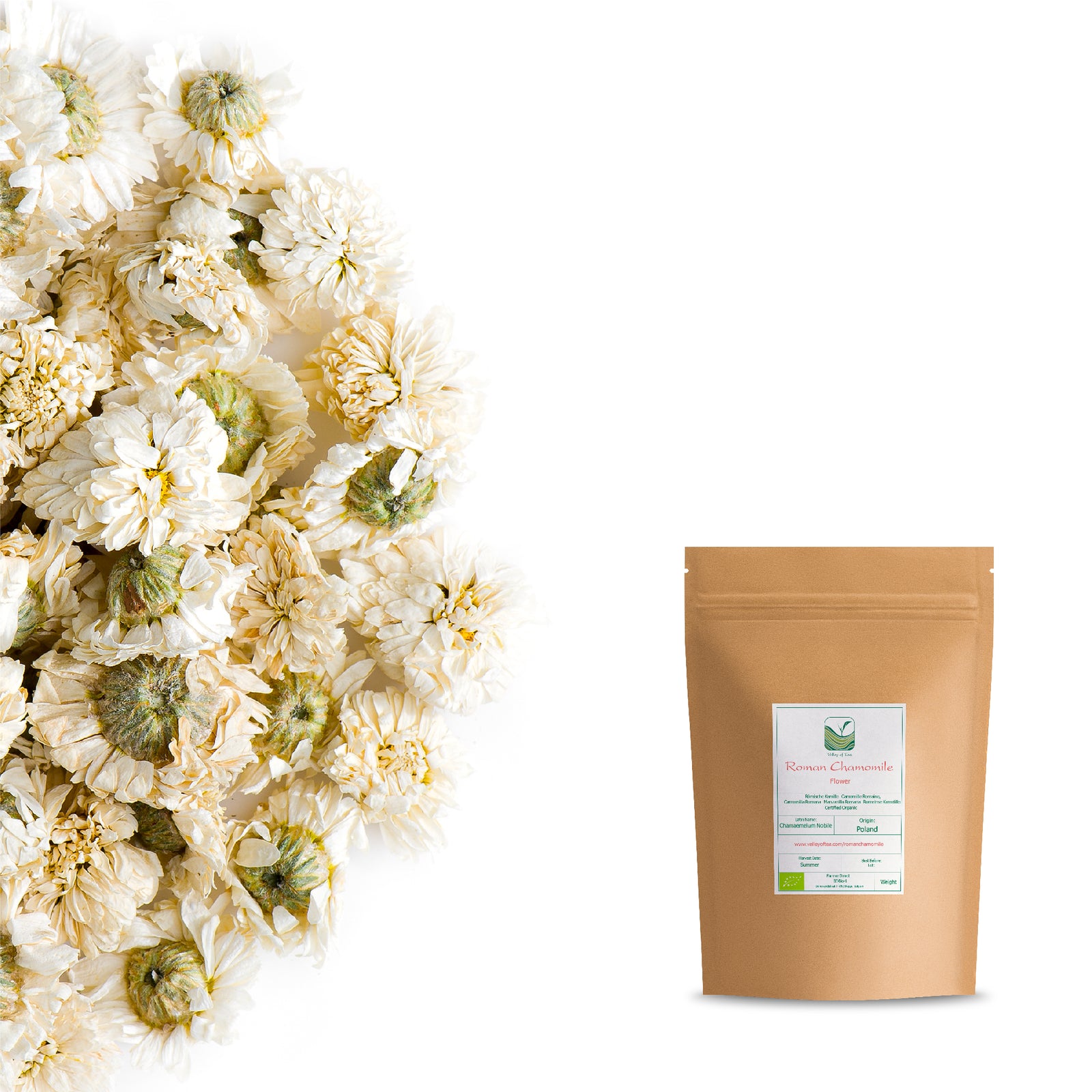 Roman Chamomile 20g