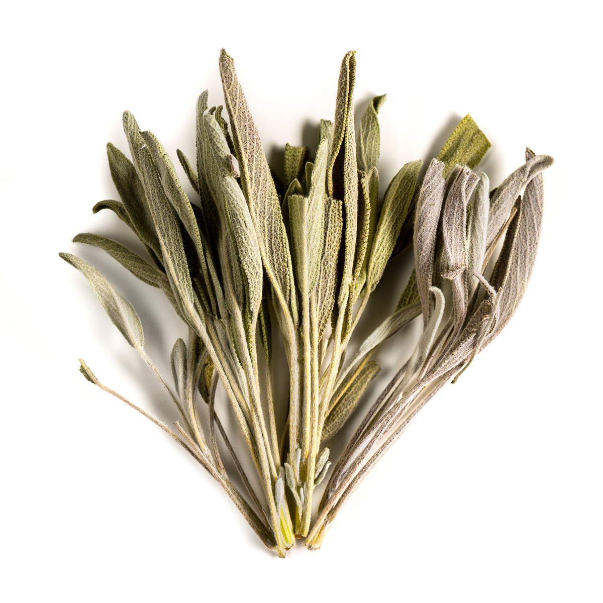 Sage 100g