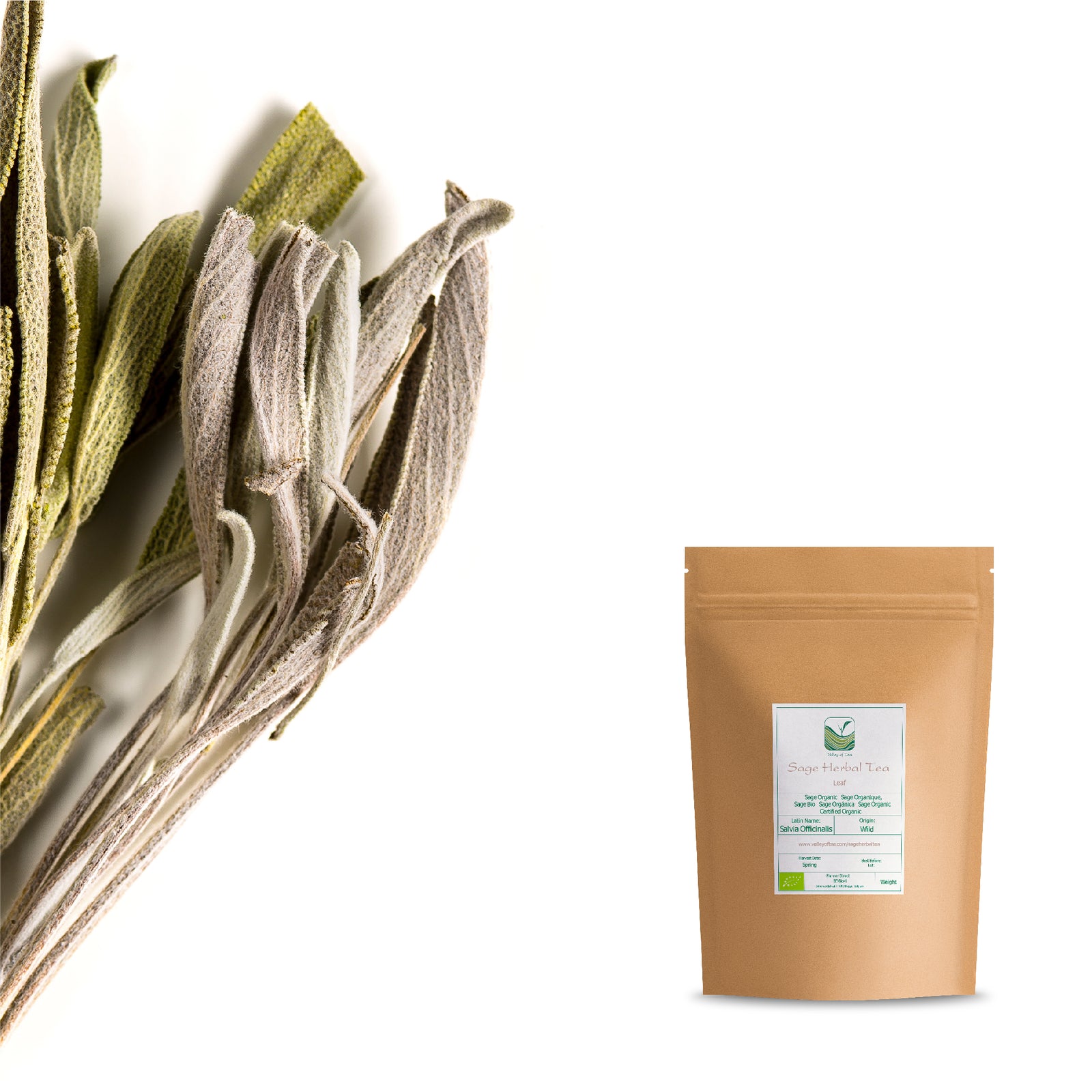 Sage 100g