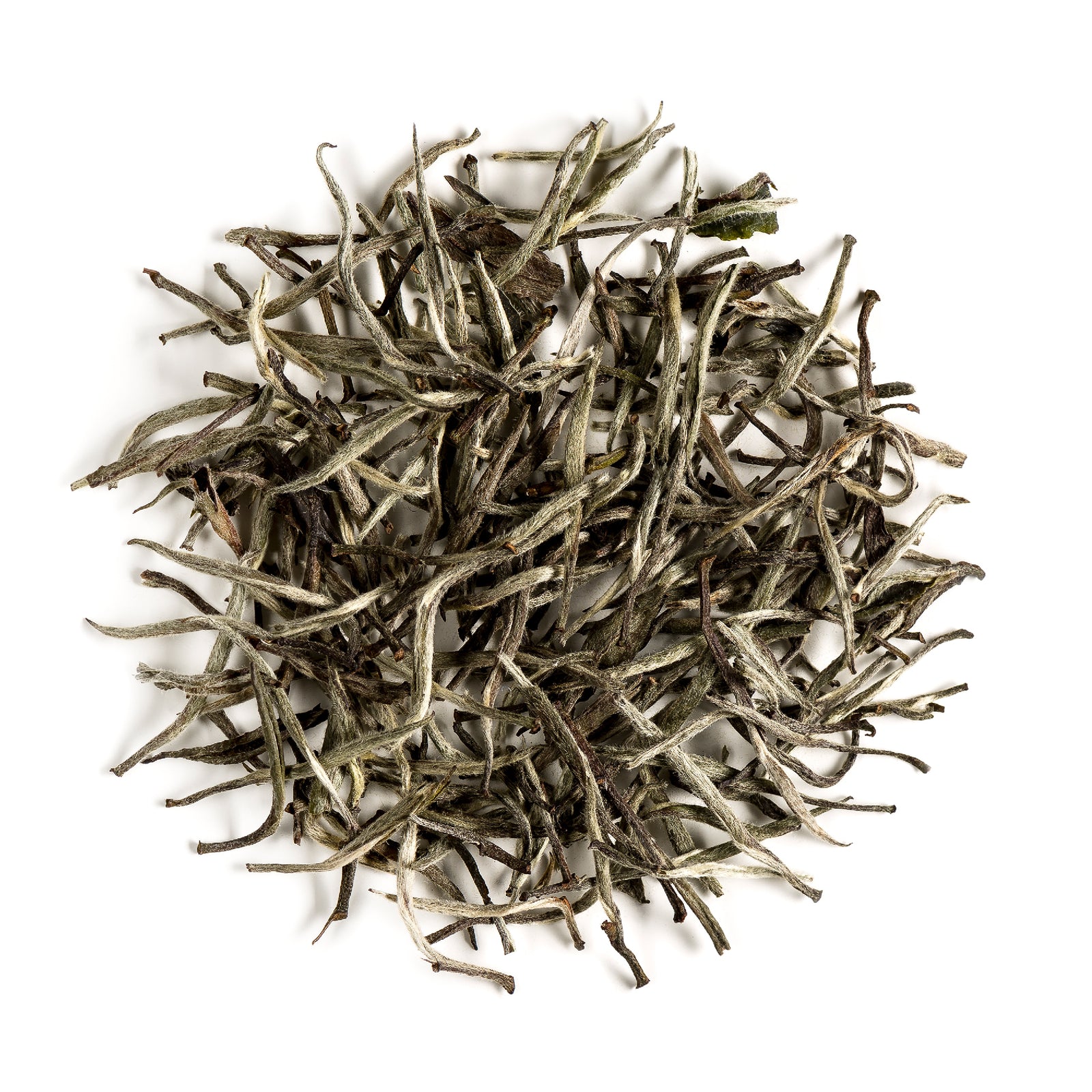 Silver Needle Pure 15g