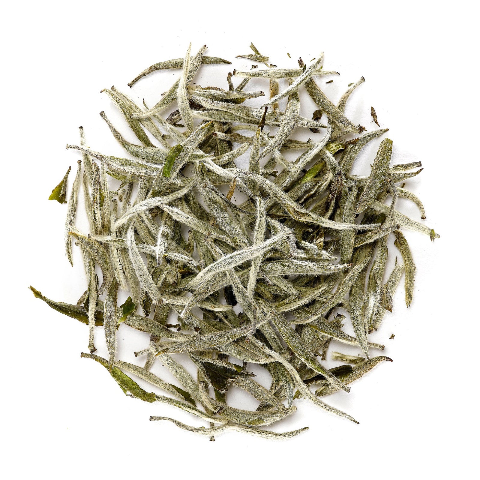 Silver Needle 40g