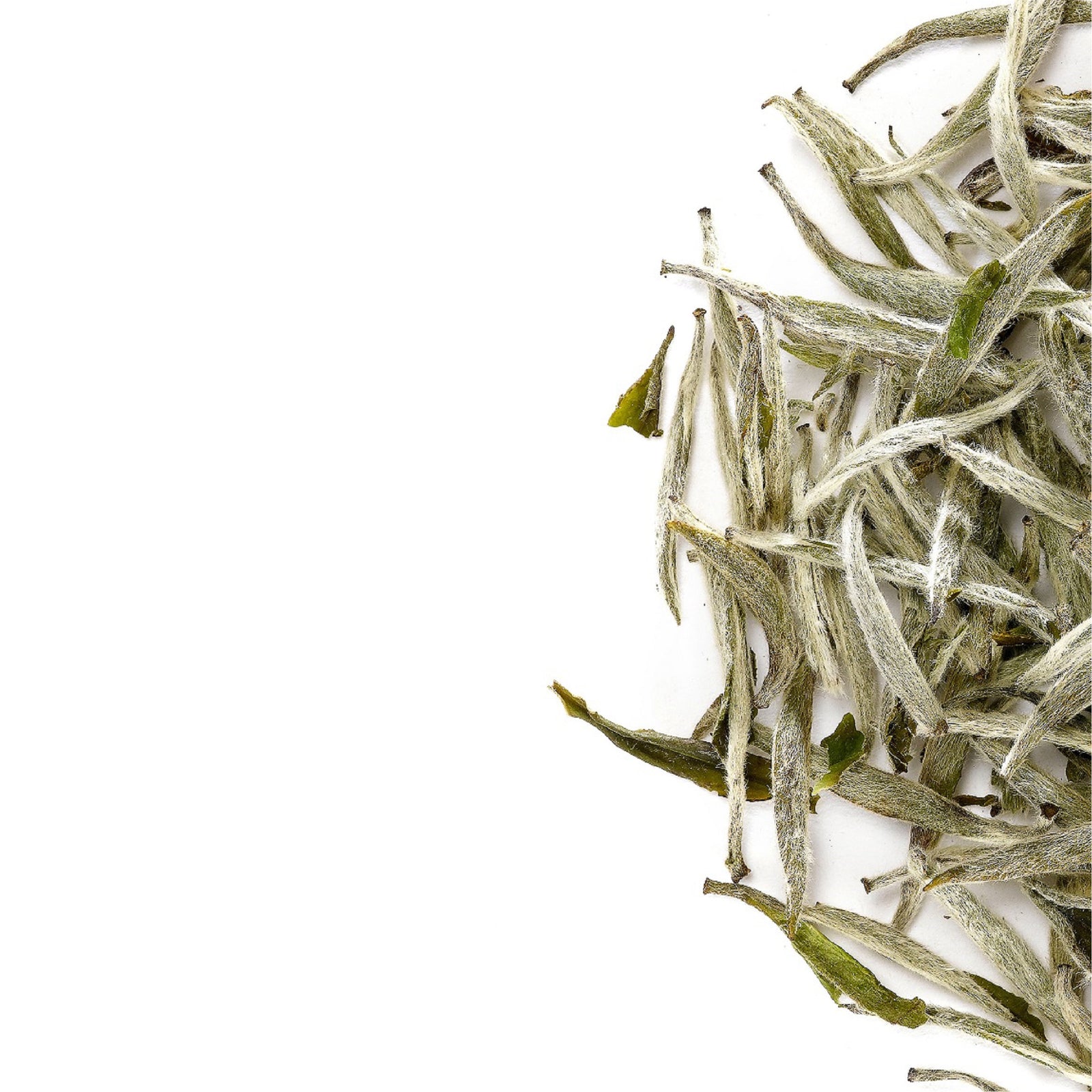 Silver Needle 40g