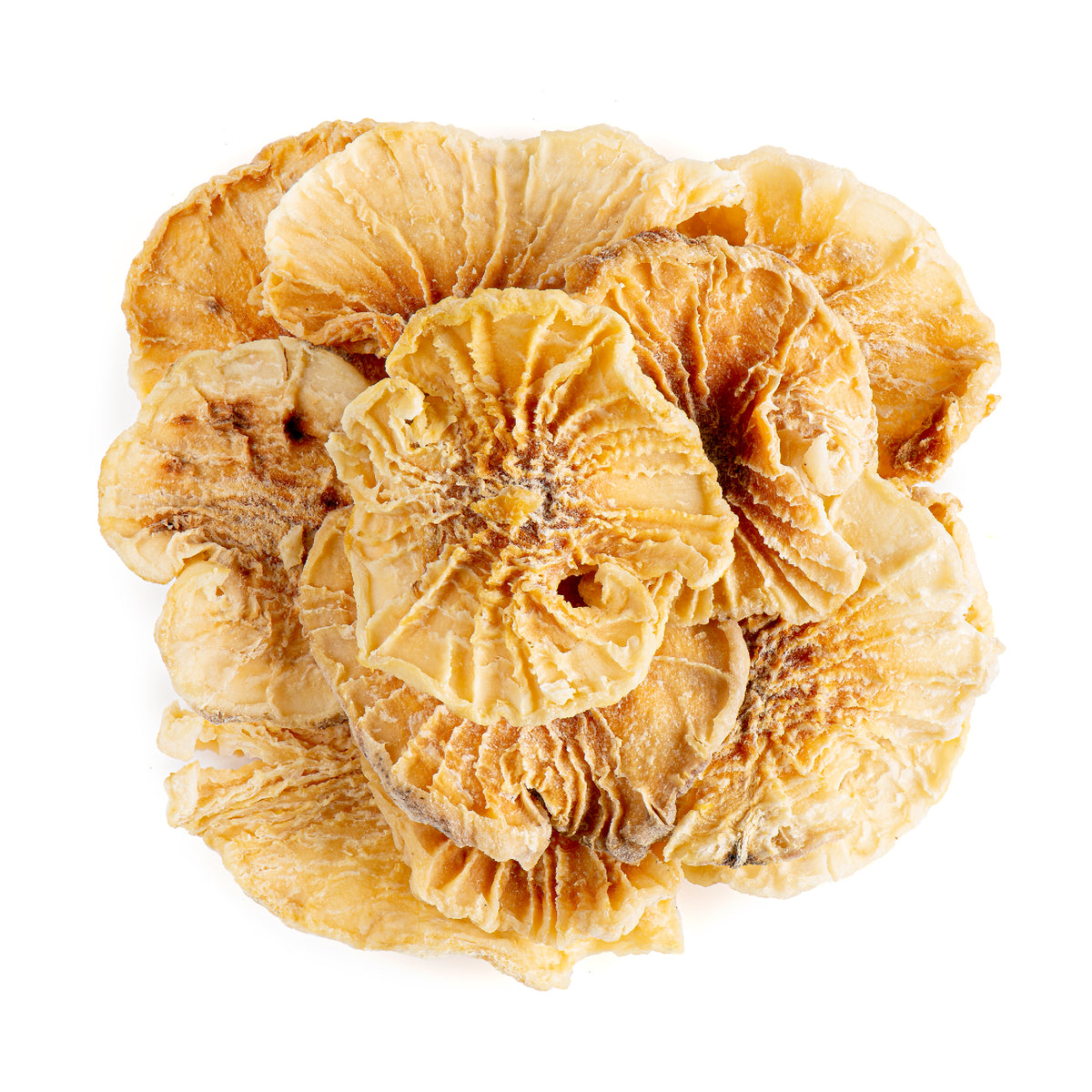 Yacon Root 50g
